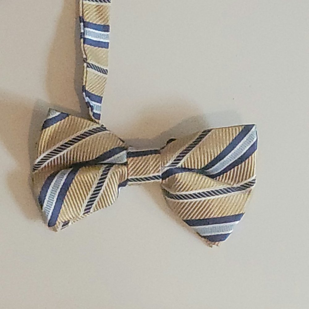 Bow Tie Jon Vandyk